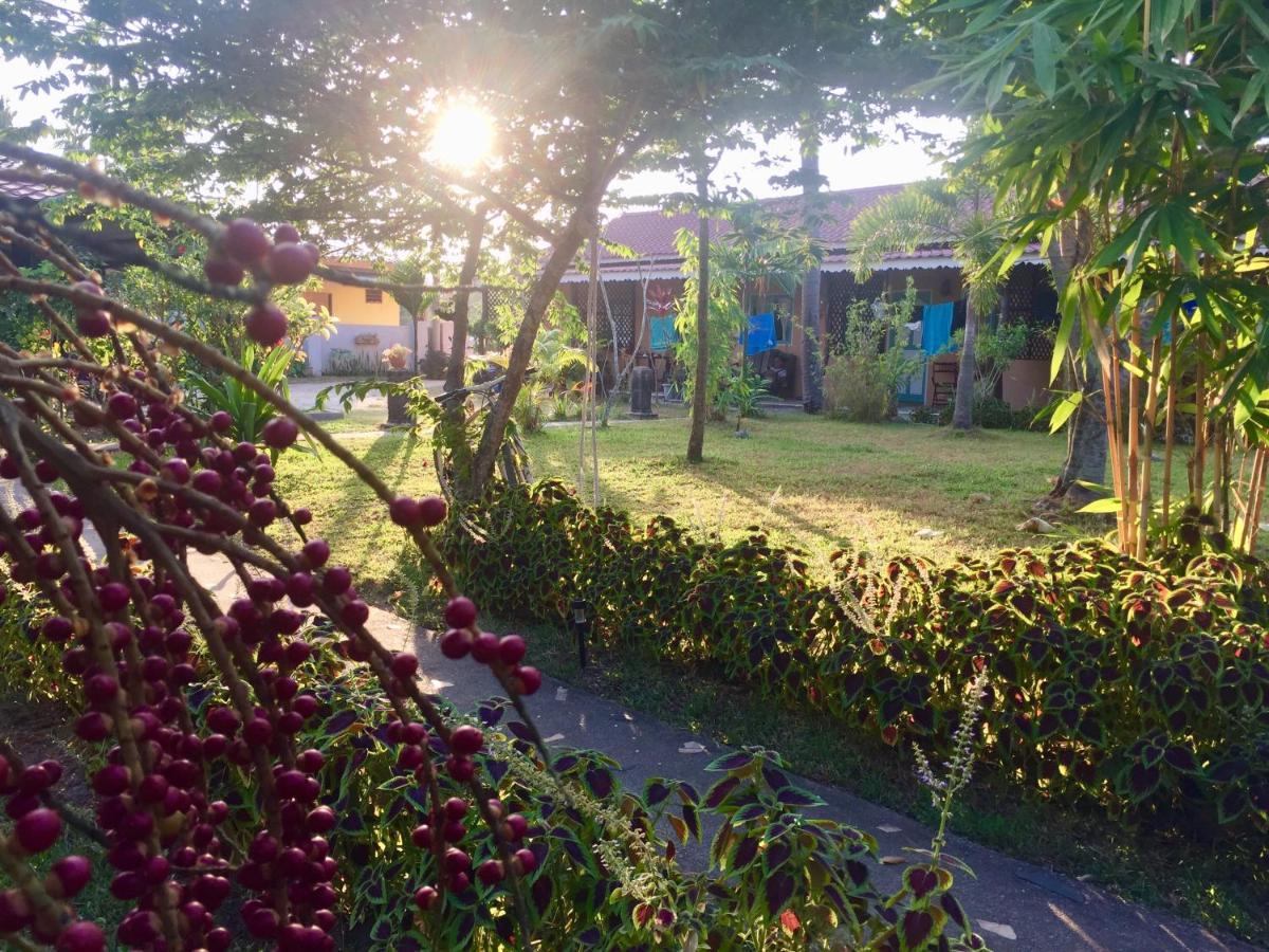Soluna Guest House Pantai Cenang  Eksteriør bilde