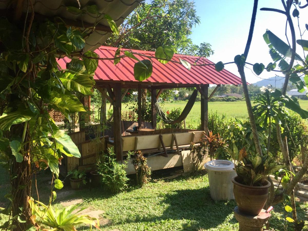 Soluna Guest House Pantai Cenang  Eksteriør bilde